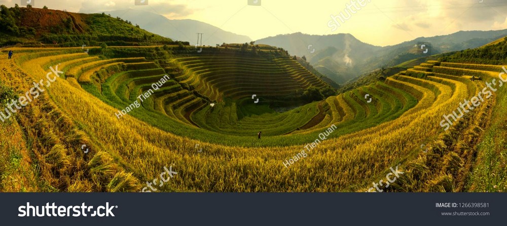 Ruộng bậc thang Tây Bắc MRBT-004